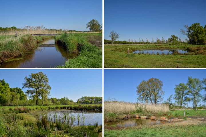 Photo 68 of Putterstraat 2