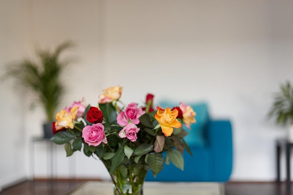 Foto 6 van Vlaskamp 628