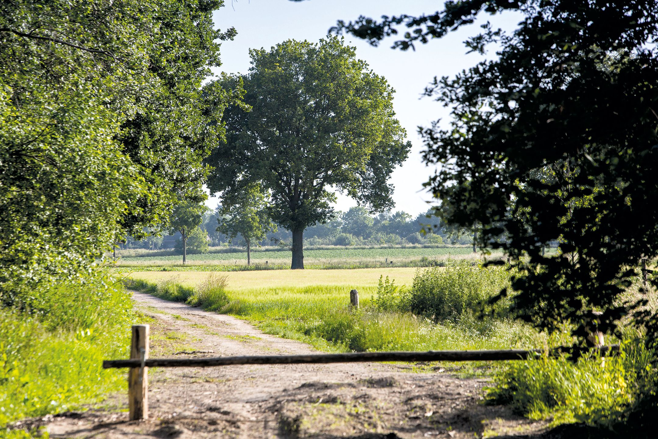 Bouwkavels Bocage V-kavels Wagenmakerstraat (Bouwnr. V8), Echt, 6101SC, Limburg, Nederland  