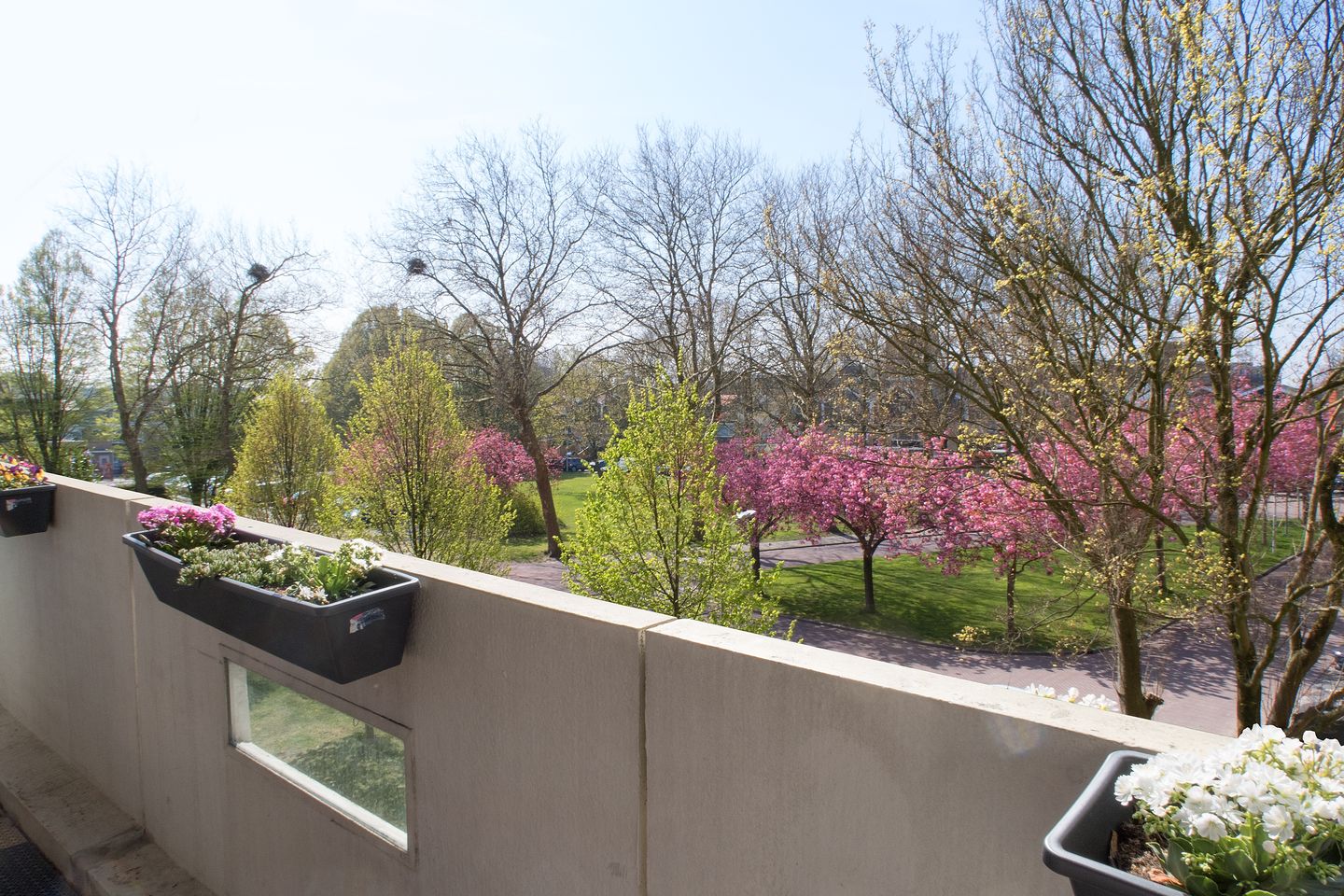 Photo 4 of Pinksterbloemweg 139