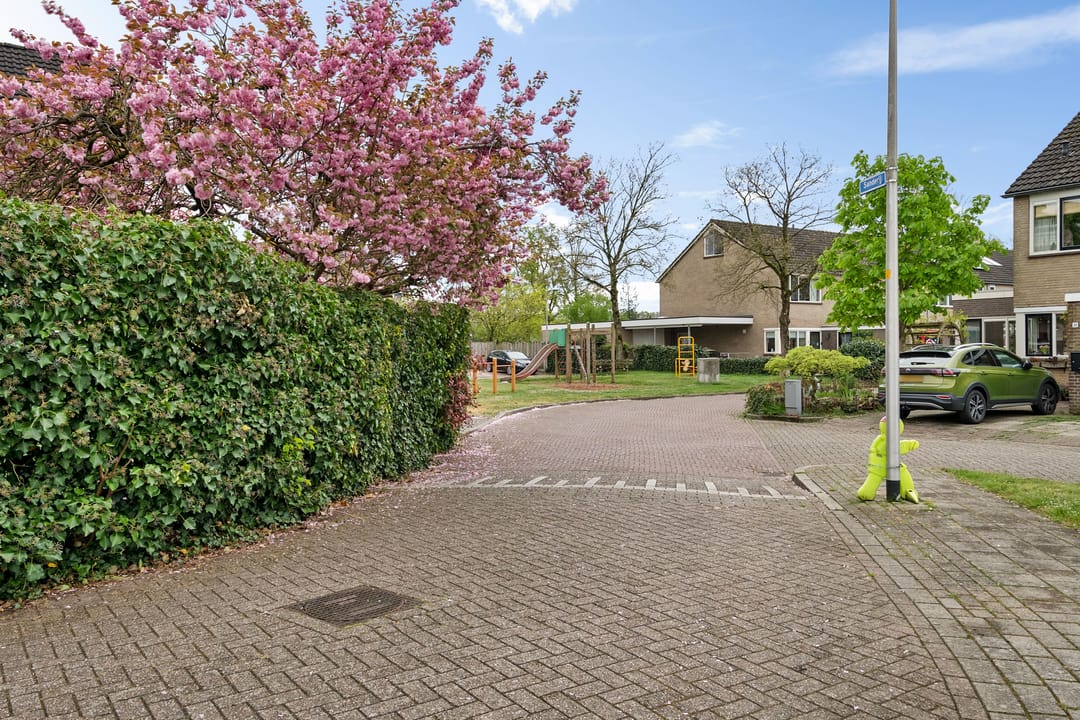 Foto 11 van Sanderij 16