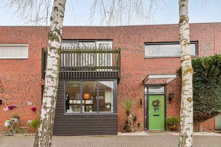 Bekijk foto van Graspieper 63