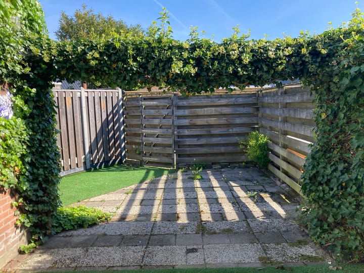 Foto 31 van Thomsonstraat 224