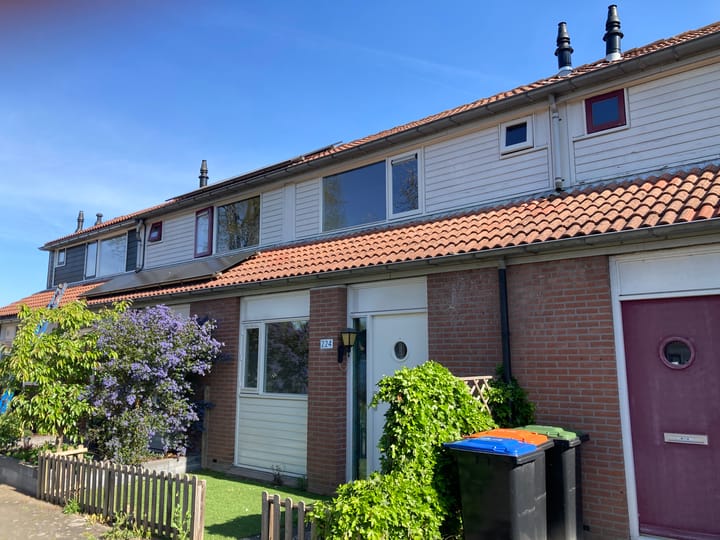 Foto 32 van Thomsonstraat 224