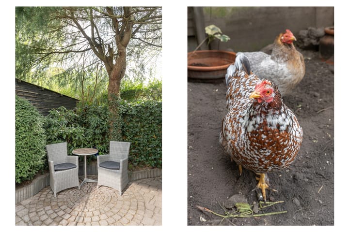 Foto 38 van Tuinstraat 58