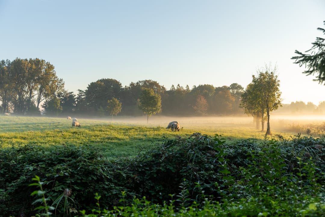 Photo 31 of Nieuwlandseweg 27