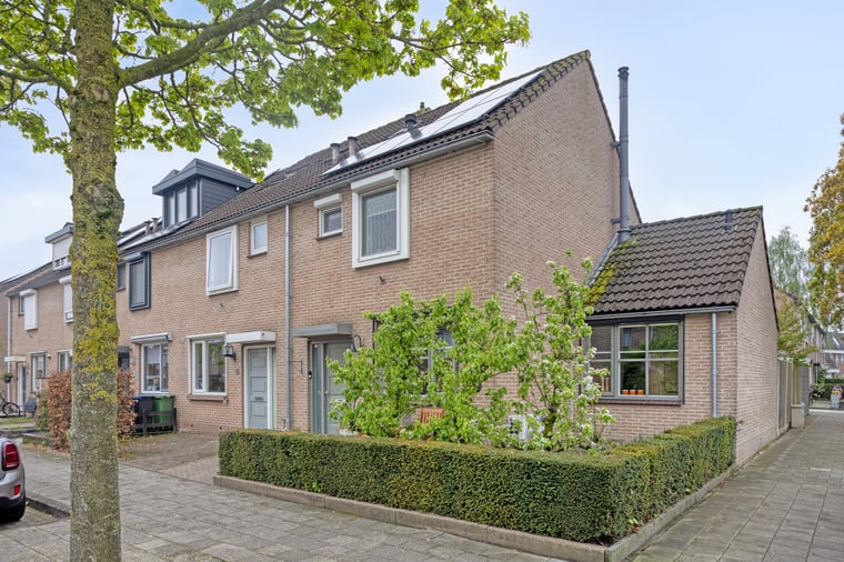 Goudplevier 11 main image