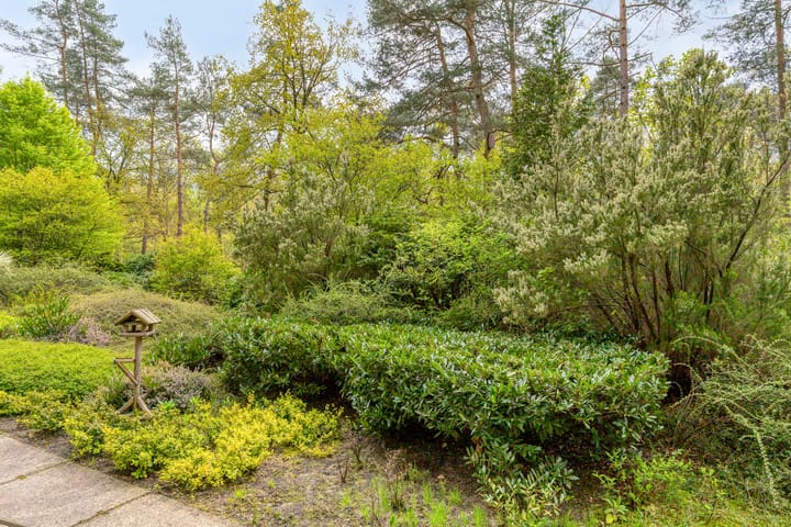 Foto 6 van Eper Veste 2