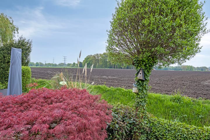 Photo 44 of Sportlaan 1