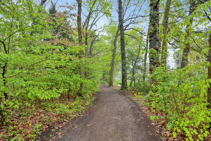 Foto 35 van Colenso 29