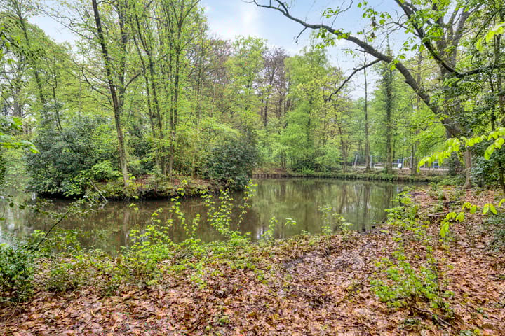 Foto 36 van Colenso 29