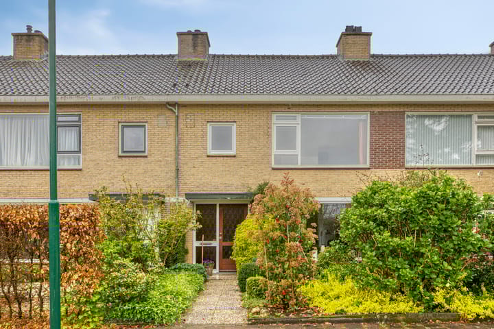 Foto 38 van Colenso 29