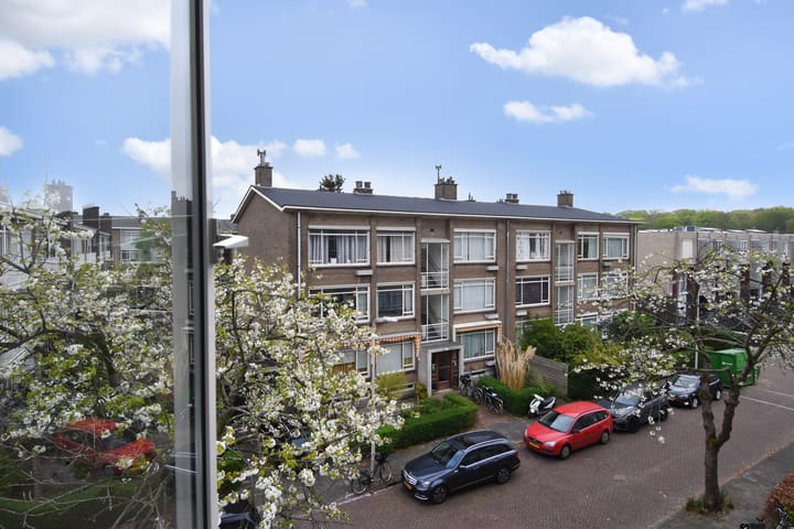 Foto 7 van Van Trigtstraat 62