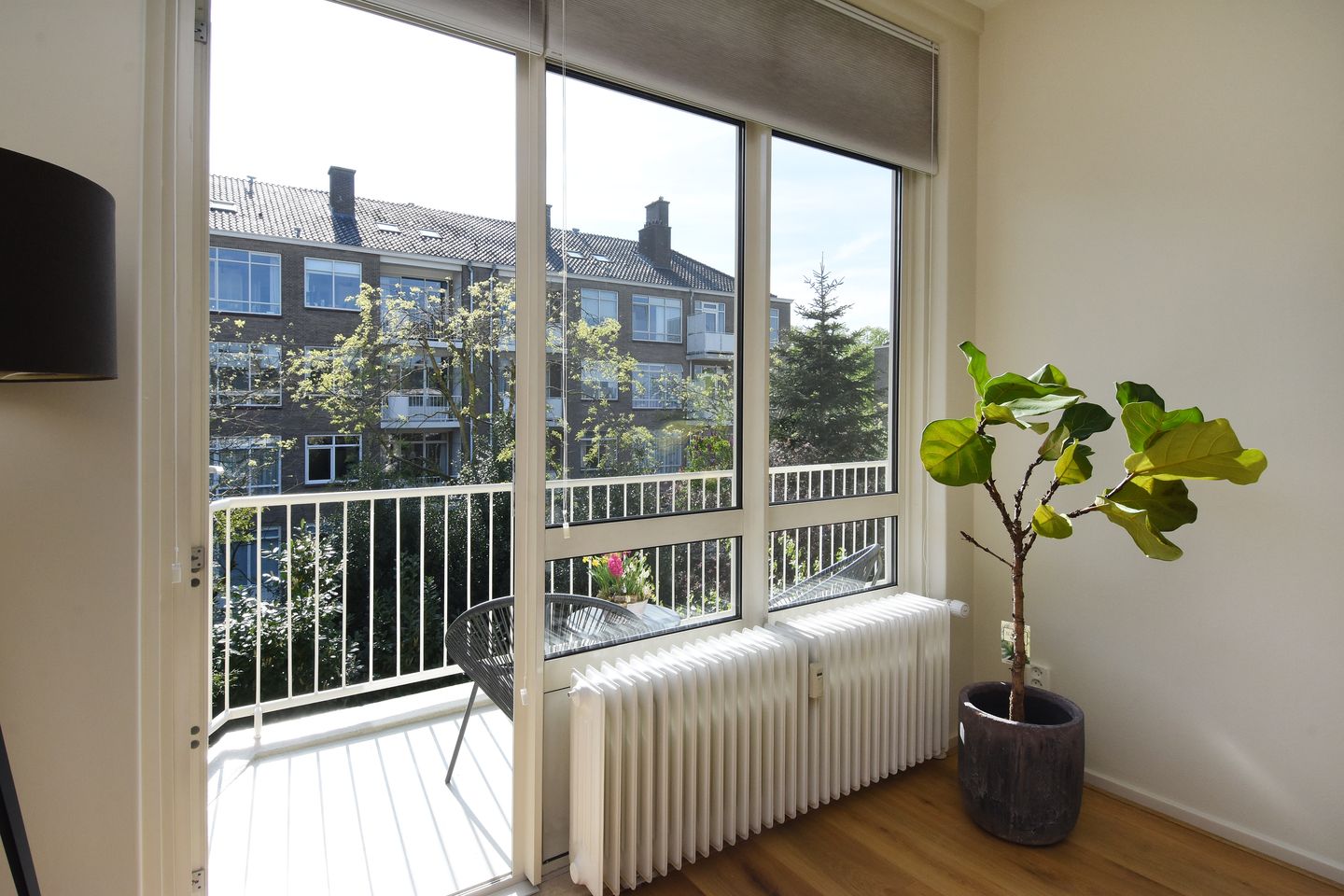 Foto 20 van Van Trigtstraat 62