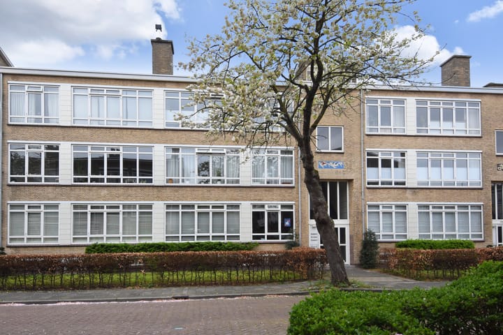 Foto 37 van Van Trigtstraat 62