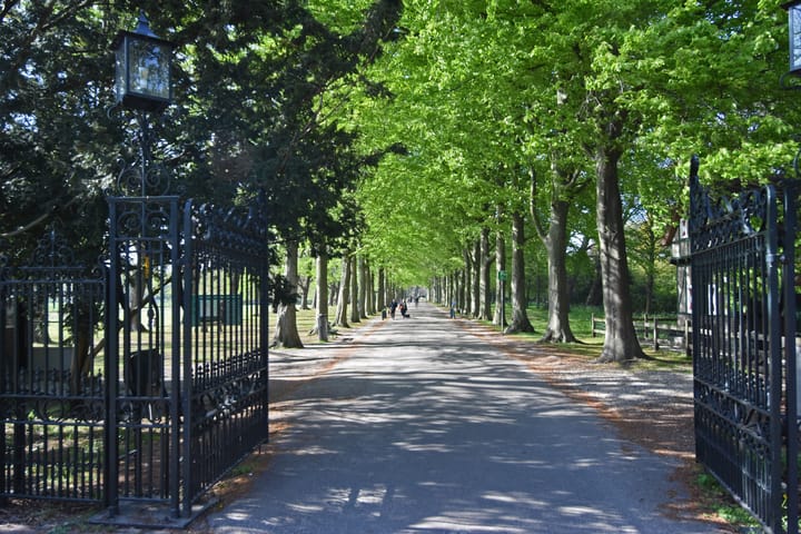 Foto 39 van Van Trigtstraat 62