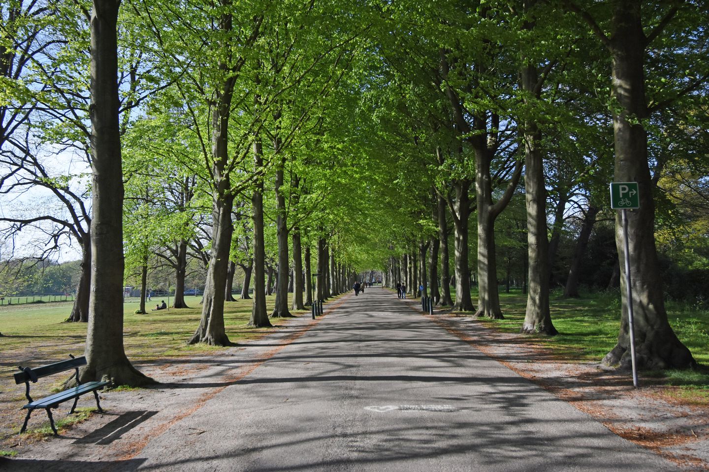 Foto 40 van Van Trigtstraat 62