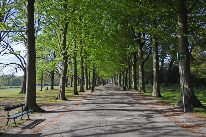 Foto 40 van Van Trigtstraat 62