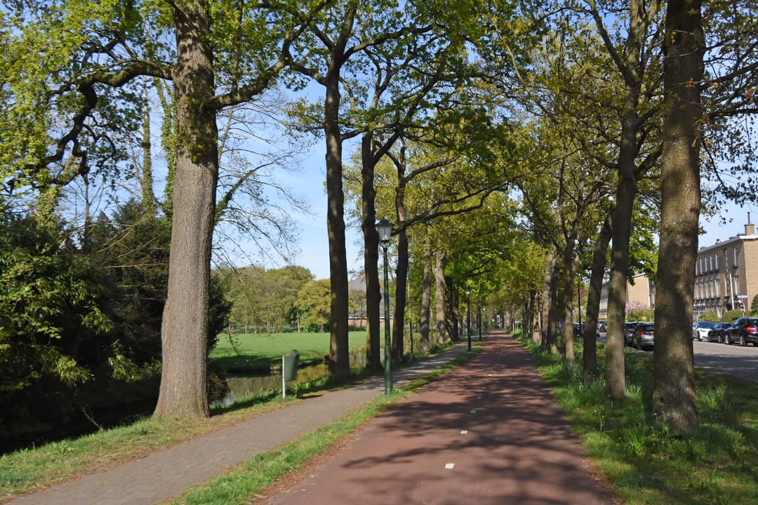 Foto 41 van Van Trigtstraat 62