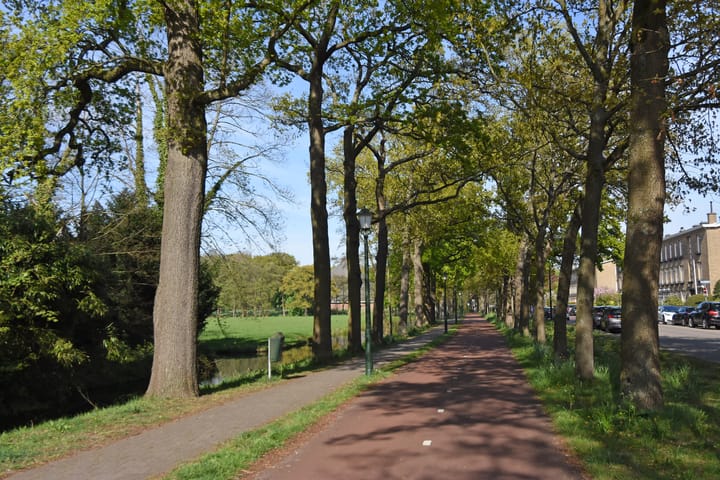 Foto 41 van Van Trigtstraat 62