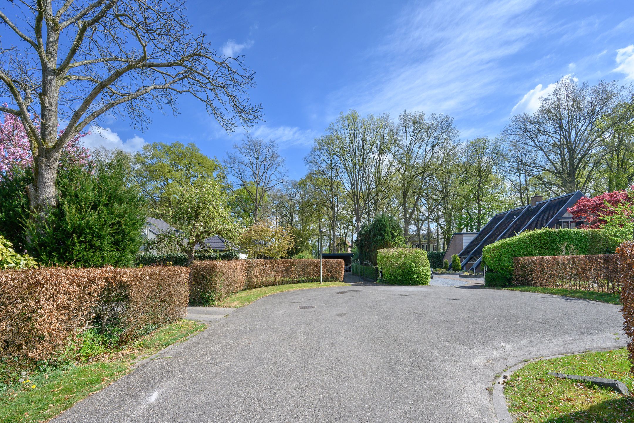 Foto 45 van Engelenburgerlaan 16