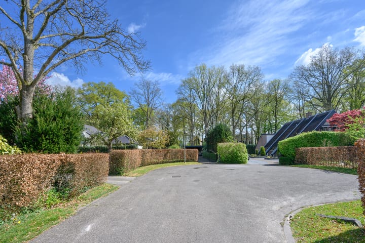 Foto 45 van Engelenburgerlaan 16