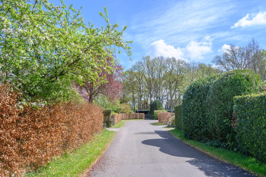 Foto 47 van Engelenburgerlaan 16