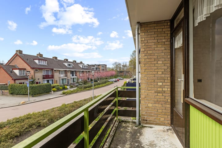 Foto 19 van Esdoornlaan 24