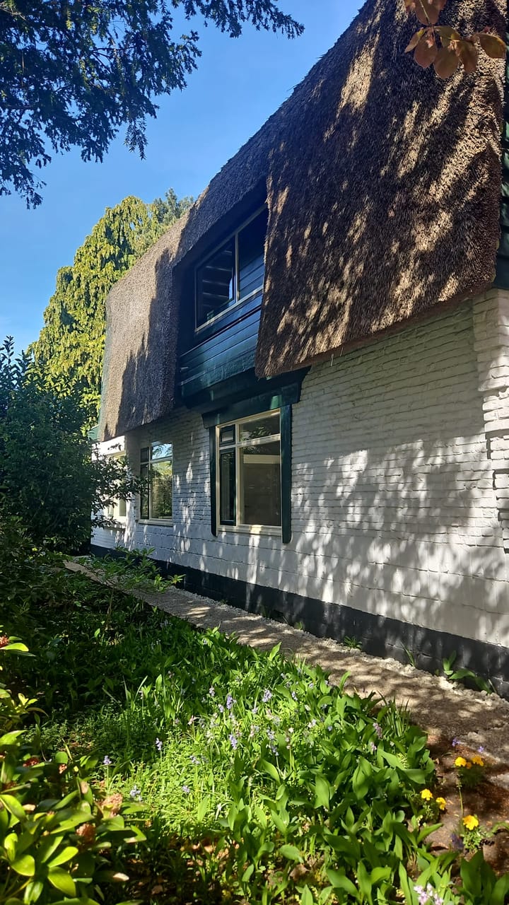 Foto 4 van Driehuizerkerkweg 14