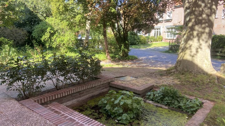 Foto 6 van Driehuizerkerkweg 14