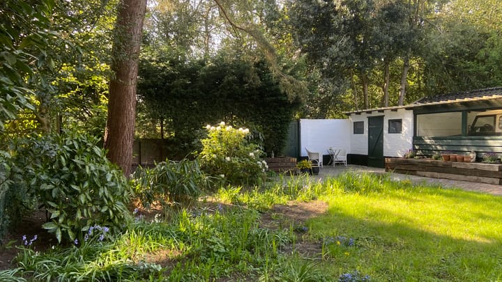 Foto 25 van Driehuizerkerkweg 14