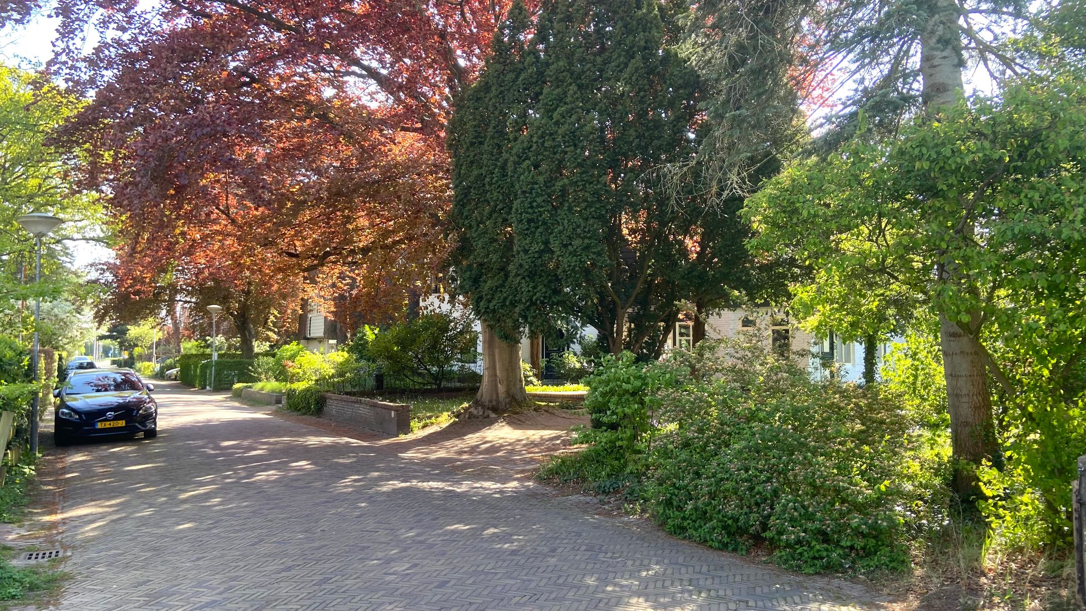 Photo 39 of Driehuizerkerkweg 14