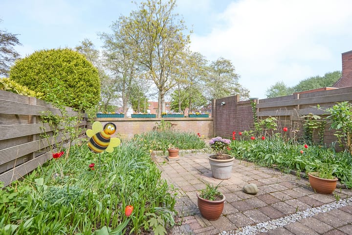 Foto 36 van Mercurius 44