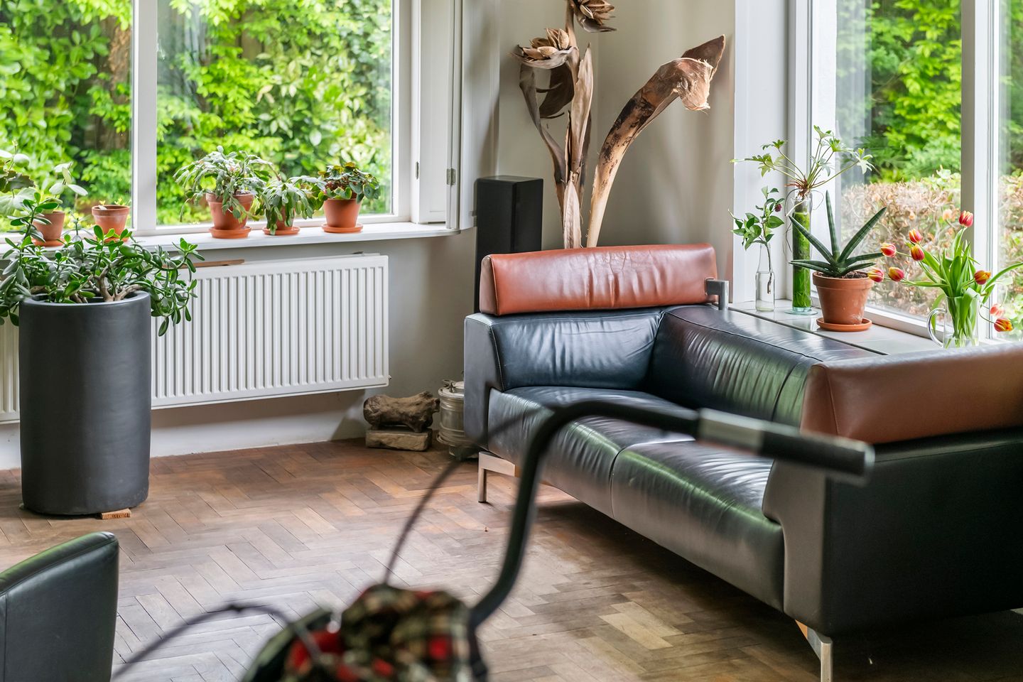 Foto 25 van Passewaayse Hogeweg 8