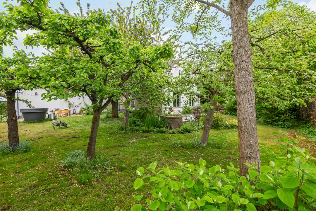 Foto 38 van Passewaayse Hogeweg 8