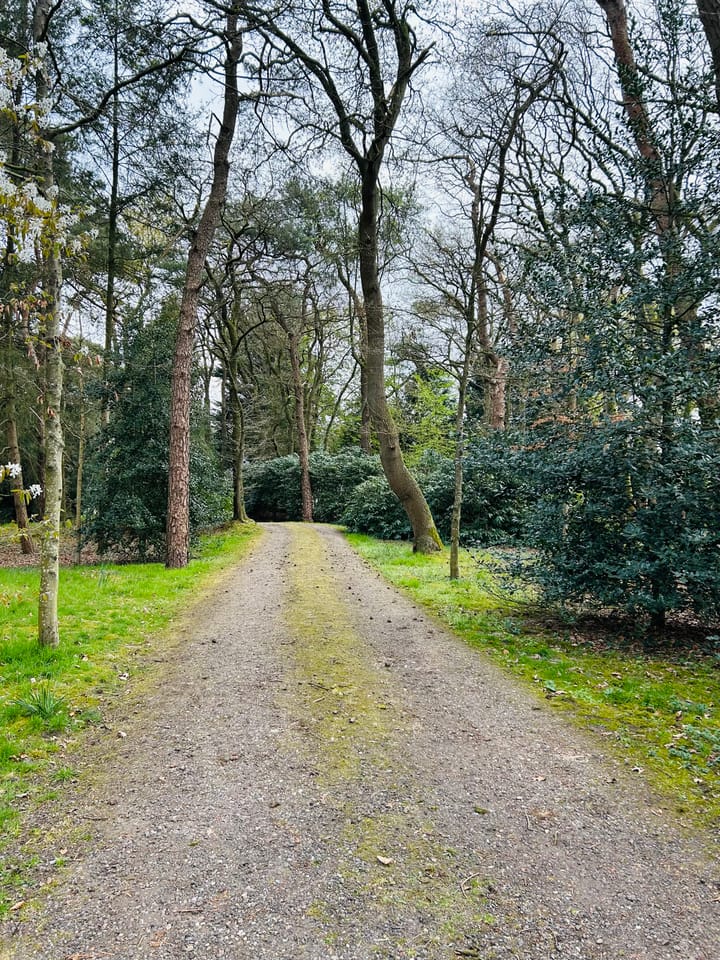 Foto 28 van Goyergracht Zuid 17