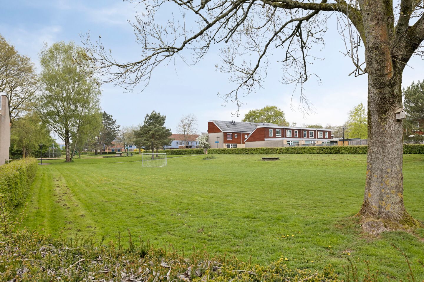 Photo 34 of Het Toplicht 9