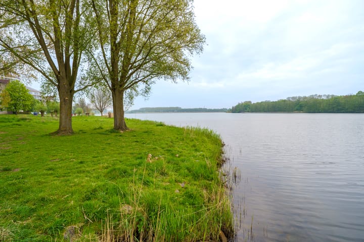 Foto 33 van Buñuellaan 53