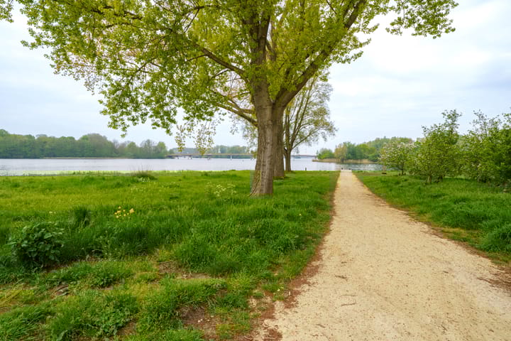 Foto 36 van Buñuellaan 53