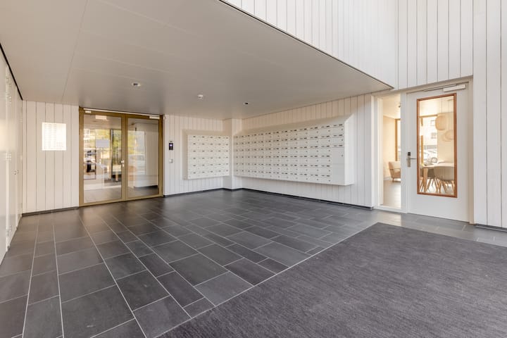 Foto 6 van Jaap van der Hoekplaats 250