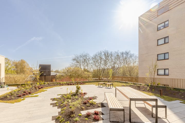 Foto 31 van Jaap van der Hoekplaats 250