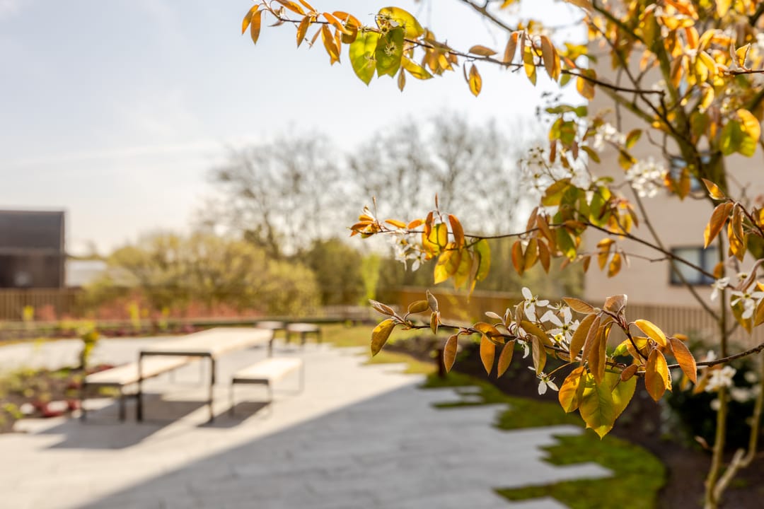 Foto 32 van Jaap van der Hoekplaats 250