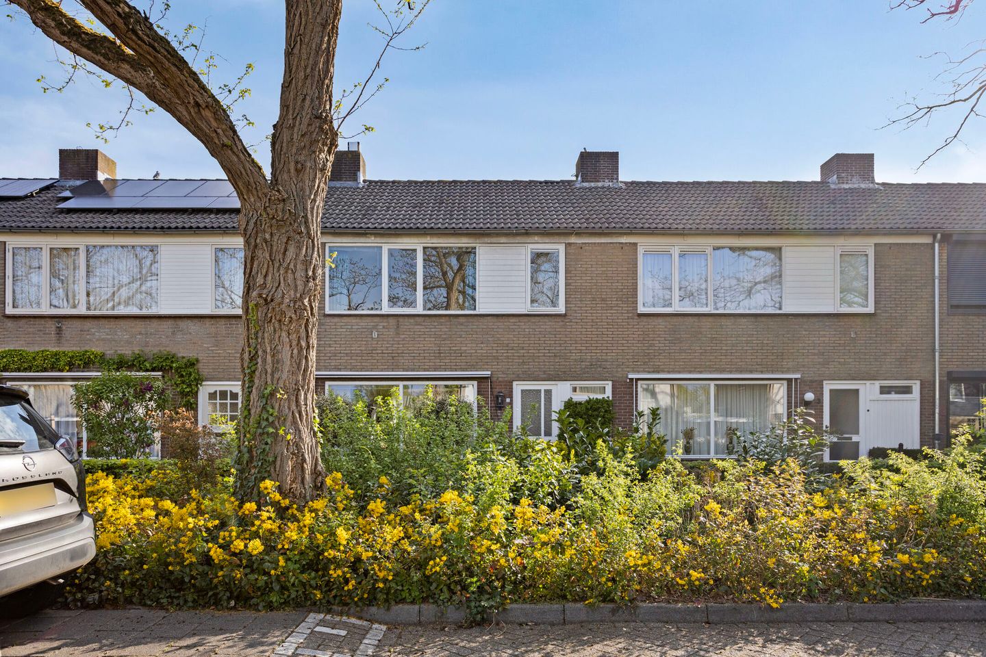 Foto 4 van Fort Alexanderstraat 5