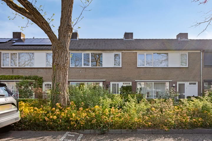 Foto 4 van Fort Alexanderstraat 5