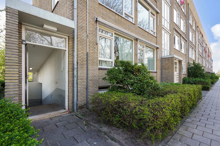 Photo 42 of Aart van der Leeuwkade 44