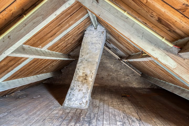 Foto 26 van Peddemors 3