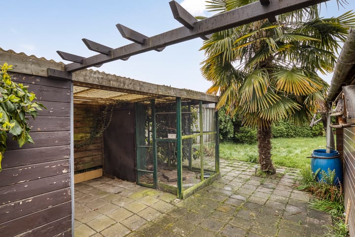 Foto 30 van Peddemors 3