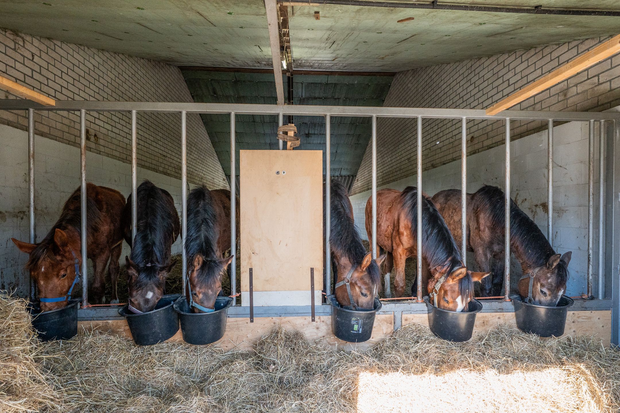 Foto 39 van Kuilerstraat 17