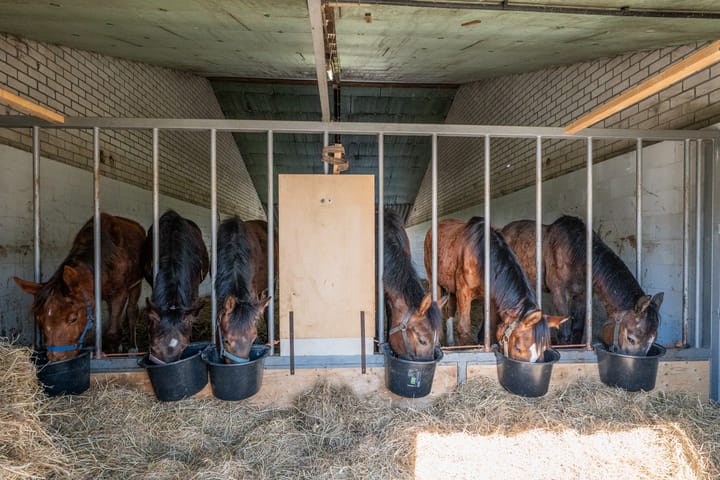 Foto 39 van Kuilerstraat 17