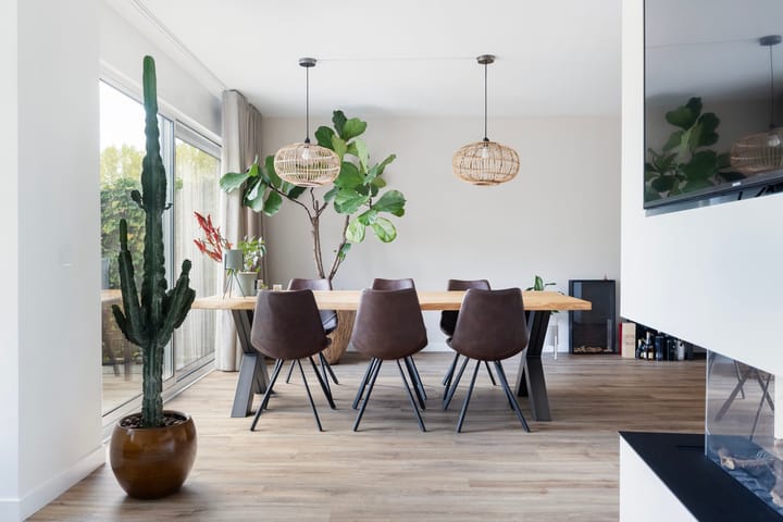 Foto 11 van Palissander 172